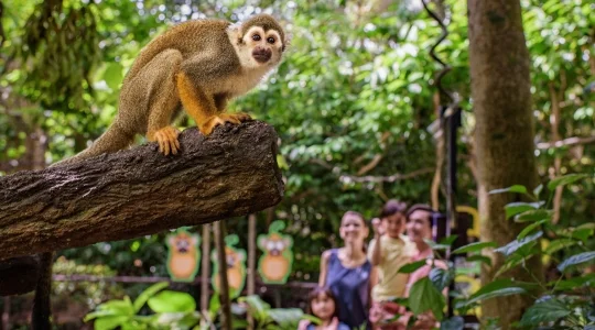 シンガポール動物園